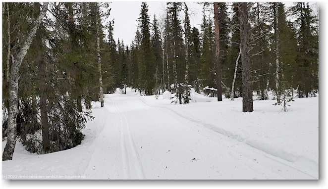langlaufloipe im pallas-yllaestunturi nationalpark