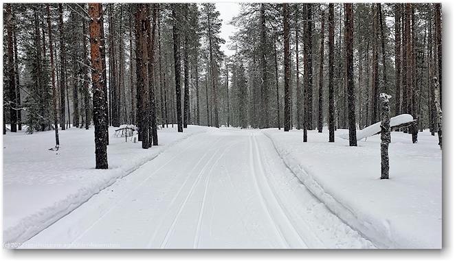 langlaufloipe im pallas-yllaestunturi nationalpark