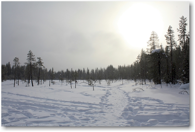 winterlandschaft am fuss des kuertunturi bei aekaeslompolo