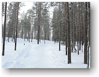 winterwanderweg bei aekaeslompolo
