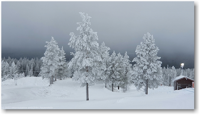 fantastische winterlandschaft bei der talstation Y-1