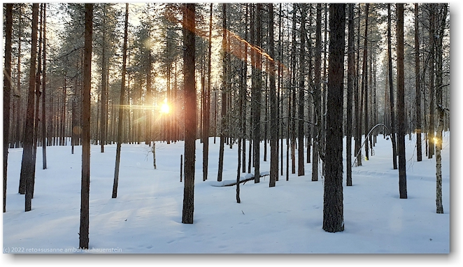 abendstimmung im wald vor dem kuechenfenster unseres hauses bei aekaeslompolo