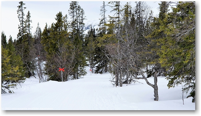 winterwanderweg bei ulladalen
