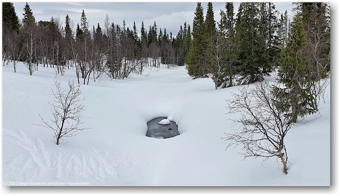 zugeschneiter bach bei ulladalen