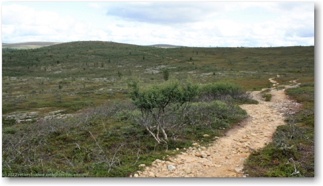 wanderweg oberhalb der baumgrenze