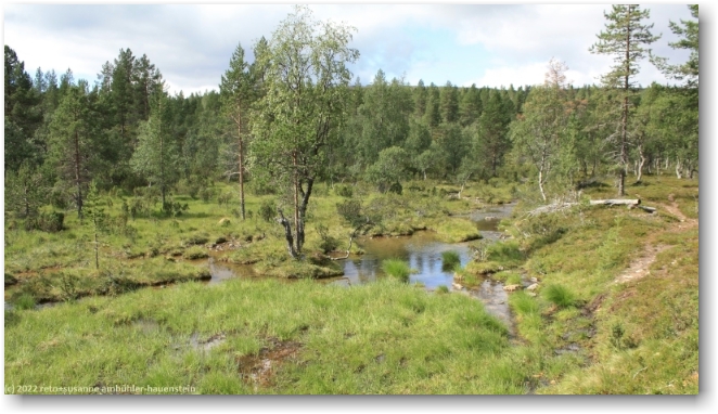 tal des pessinlampi