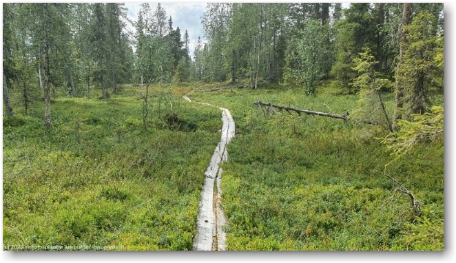 wandersteg durch waldschneise richtung pikku-luosto