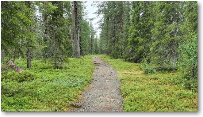 wanderweg zwischen dem parkplatz rykimaekero und dem cafe lampivaara