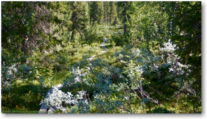 wandersteg im verlauf des kungsleden
