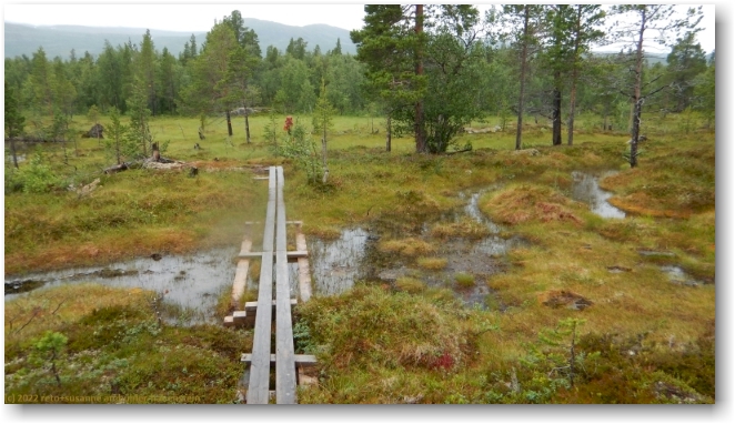 wandersteg im verlauf des kungsleden durch sumpfgebiet