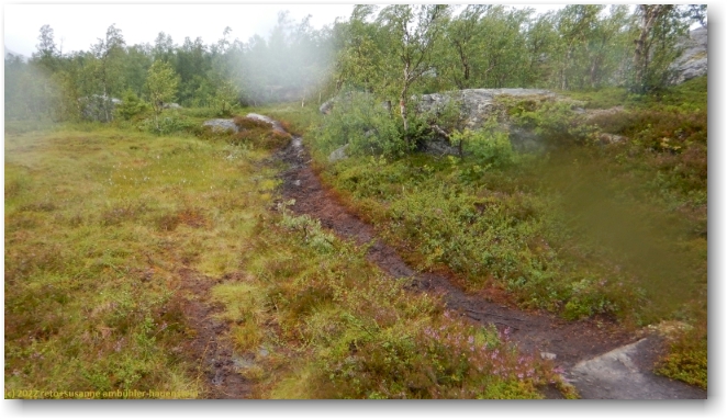 der regen hat den kungsleden in einen schlammpfad verwandelt