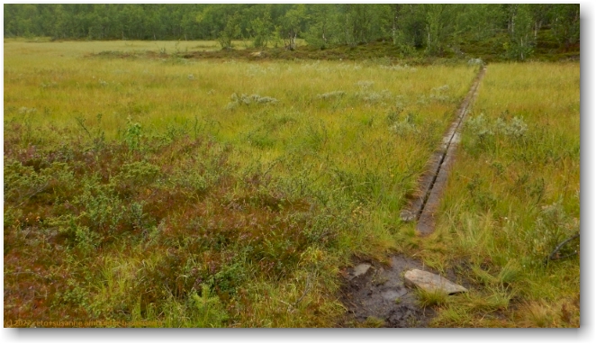 ein weiteres sumpfgebiet noerdlich von vuonatjviken