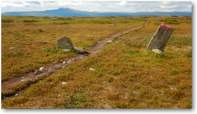 kungsleden ueber die kahle hochebene am fuss des tjidtjakvalle