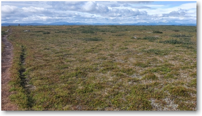 kungsleden ueber die kahle hochebene am fuss des tjidtjakvalle