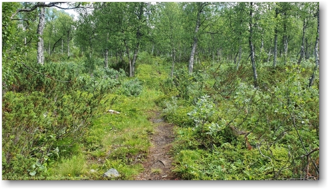 kungsleden bei saudal