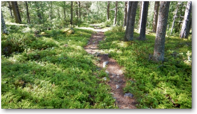 kungsleden bei saudal