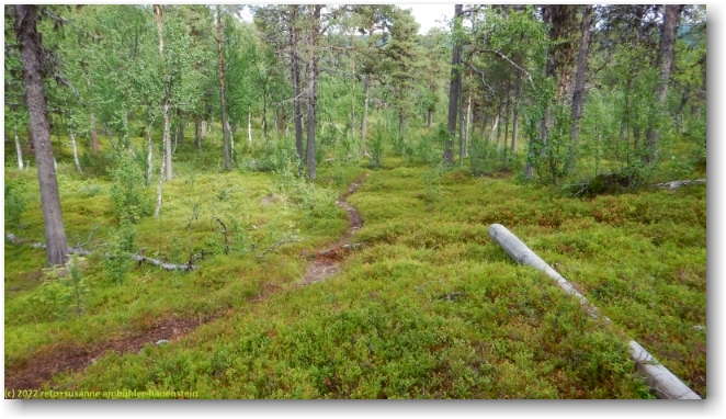 kungsleden zwischen haugajaure und tjarvekallegiehtje
