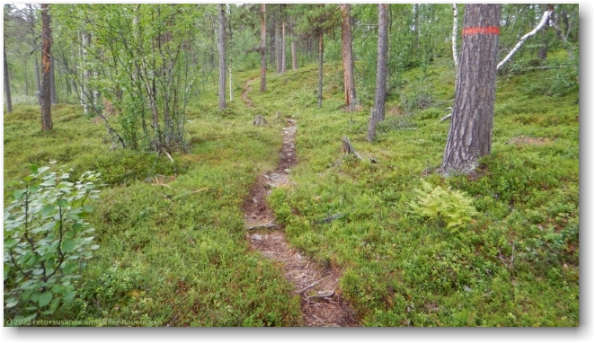 wanderweg zwischen tjarvekallegiehtje und jaegga
