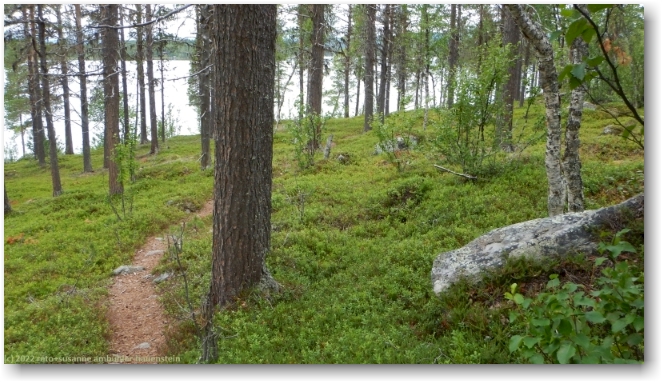 kungsleden kurz vor jaeckvik
