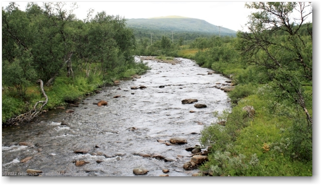 stor-ulvan