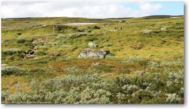 ulvaskaftet