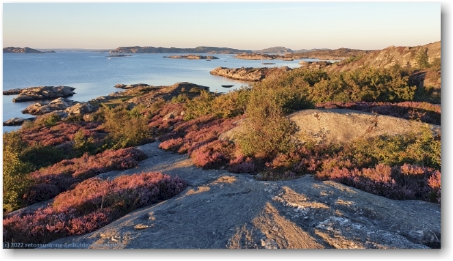 felskueste bei marstrand in der abendsonne
