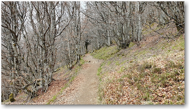pfad parallel zur D431 (route des cretes)