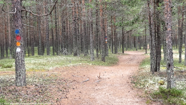 ut markierte rundstrecken beim camping pite havsbad bei pitea