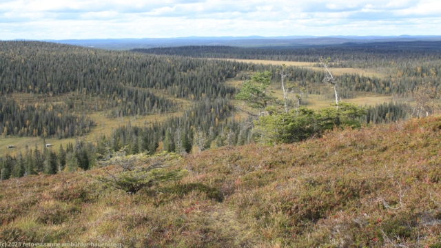 aussicht vom pikku riisitunturi im riisitunturin nationalpark