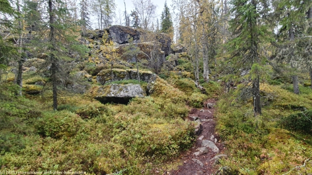 aufstieg zum nebengipfel des teerivaara im syoete nationalpark