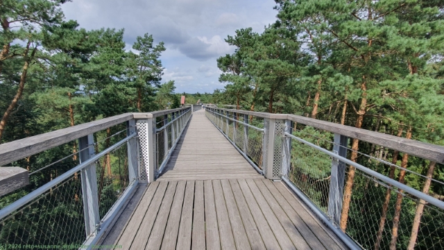 baumwipfelpfad bei hanstedt