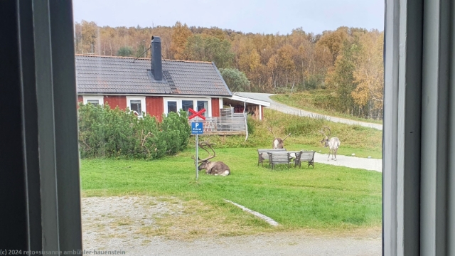 blick aus dem schlafzimmer unserer huette beim strandgarden bei fjaellnaes