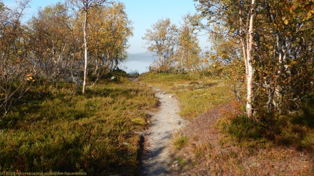suedlicher kungsleden entlang des rogen