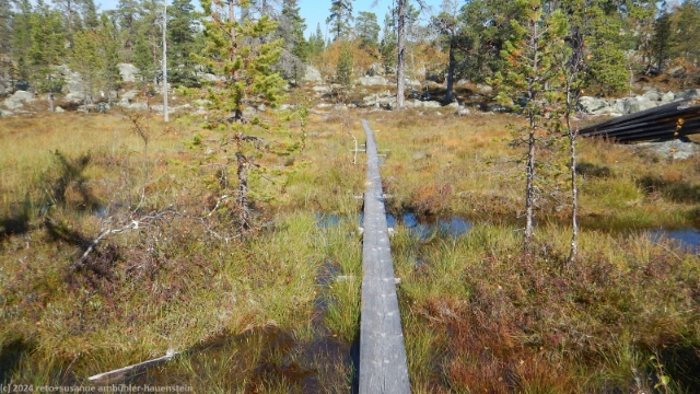 wandersteg durch sumpfgebiet im verlauf des suedlichen kungsleden