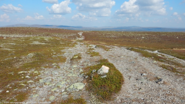pfad des suedlichen kungsleden ueber des langfjaellet