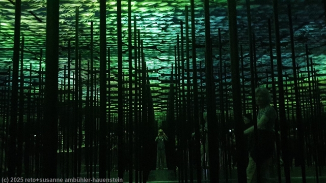 teamLab Borderless in azabudai hills, tokyo