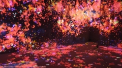 teamLab Borderless in azabudai hills, tokyo