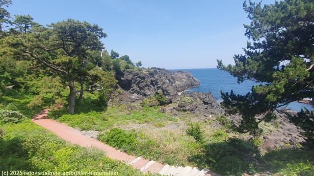 mit holzschnitzel und roter farbe bedeckter abschnitt des jogasaki coastal trail