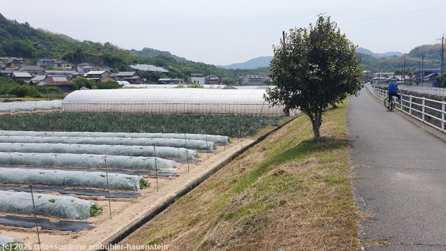 radweg auf der insel innoshima im verlauf des setouchi shimanami kaido