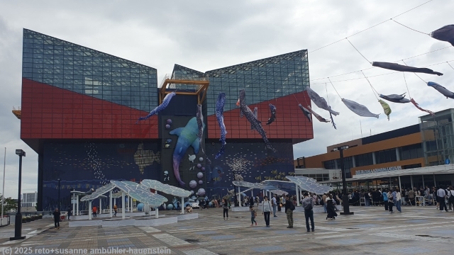 kaiyukan aquarium in osaka