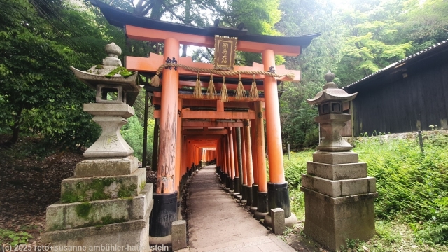 senbon torii beim fushimi inari schrein in kyoto