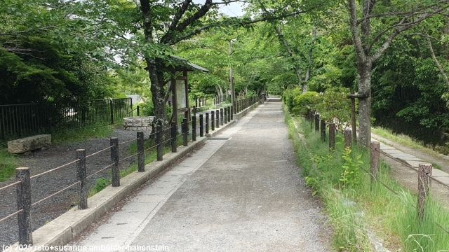 philosopher's walk in kyoto