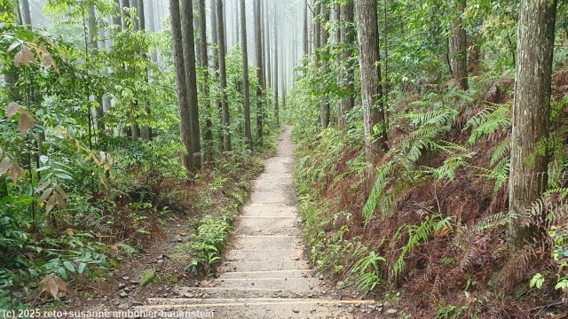 wanderweg mit stufen im verlauf des kumano kodo