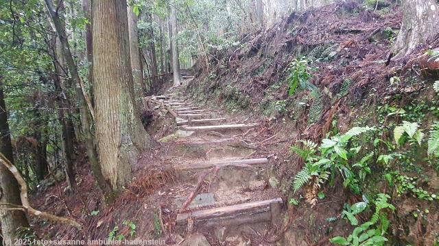 dainichi-goe - abschnitt des kumano kodo zwischen hongu und dem yunomine onsen
