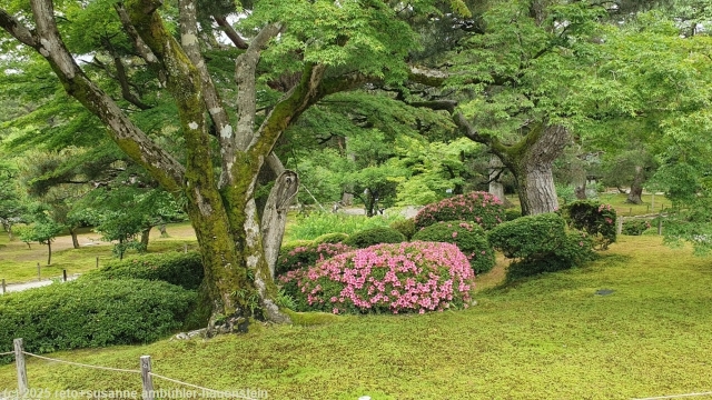 kenrokuen garten in kanazawa
