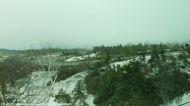 fahrt mit dem highland bus ueber die kurvenreiche bergstrasse von murodo nach bijodaira im verlauf der alpine route
