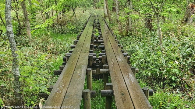 wandersteg im verlauf des azusa river trail bei kamikochi