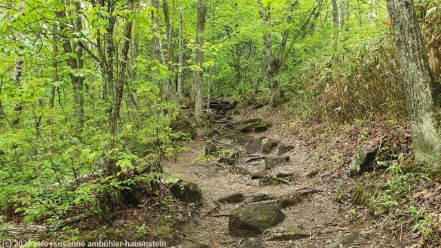 futarinomichi in norikura