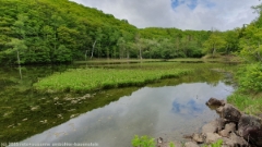 azami pond in norikura