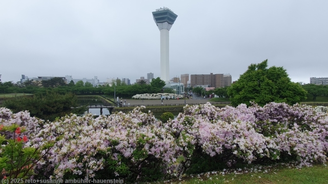goryokuka park und goryokuka tower in hakodate